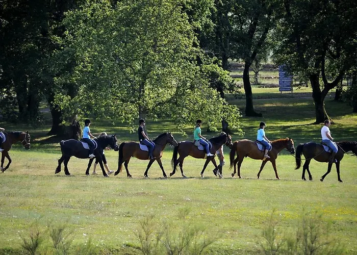 Hotel Plavi Plava Laguna Porec