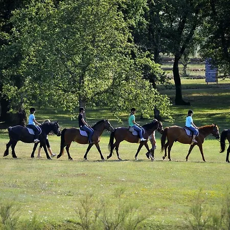 Hotel Plavi Plava Laguna Porec